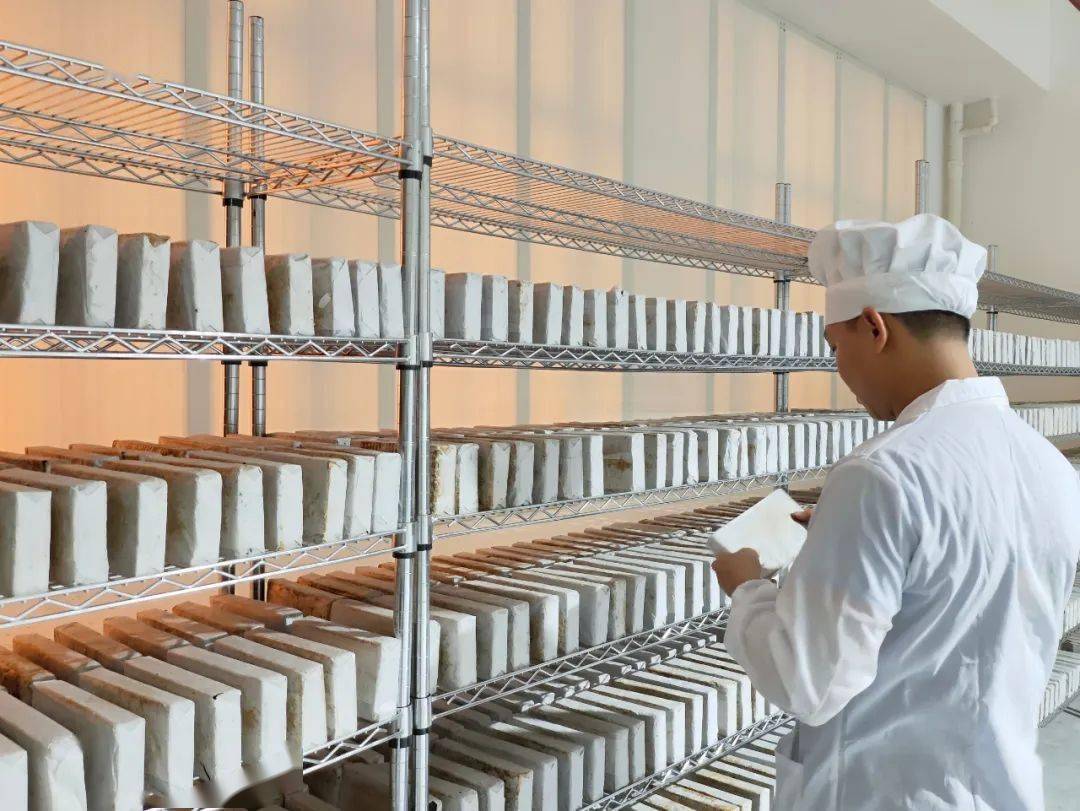 壮大实体经济 八步区六堡茶项目建成投产，科技赋能贺州茶产业升级