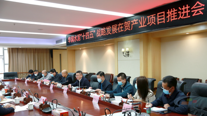 华润水泥“十四五”战略发展在贺产业项目推进会圆满举行，贺州政企合力共绘发展蓝图